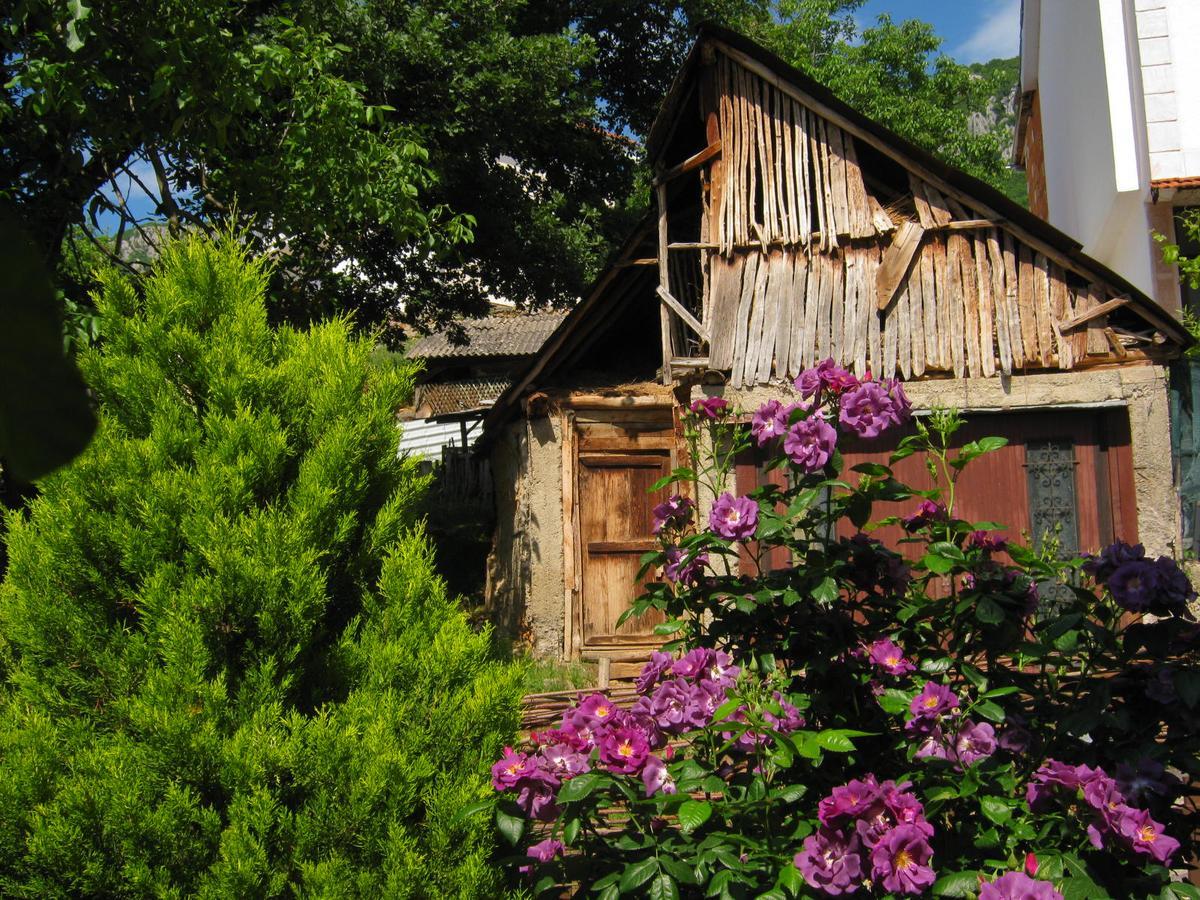 Risto'S Guest House Elshani Екстериор снимка