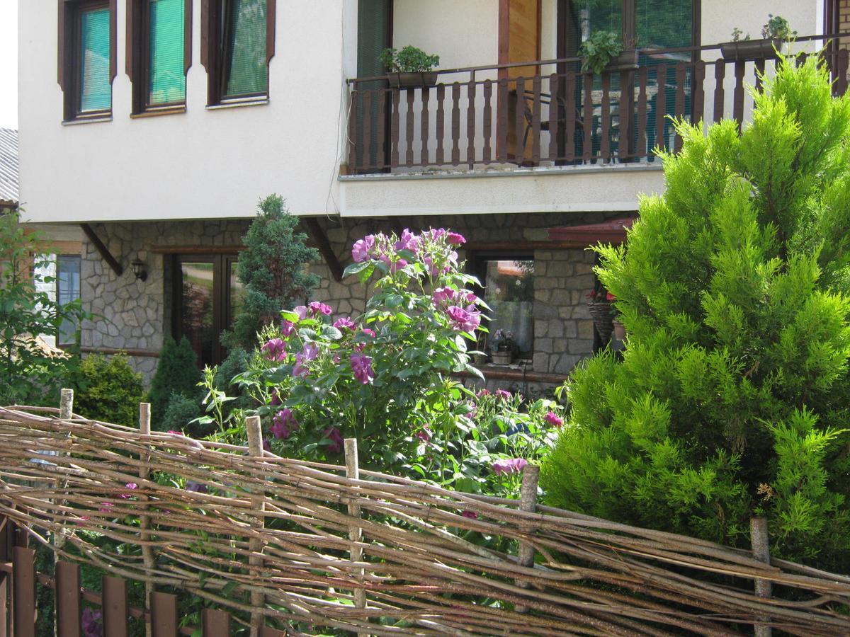 Risto'S Guest House Elshani Екстериор снимка