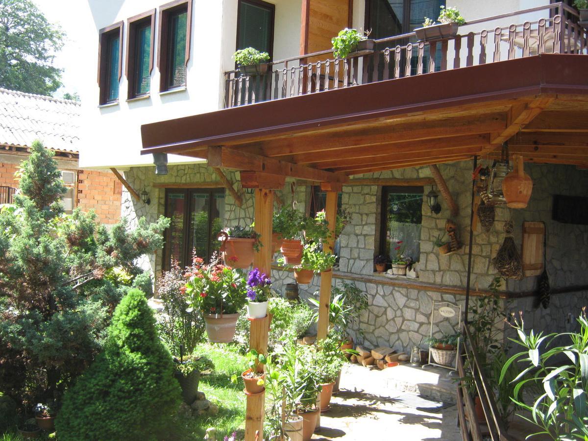 Risto'S Guest House Elshani Екстериор снимка